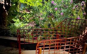 Loquat House Nel Giardino Segreto In Zona Vaticano