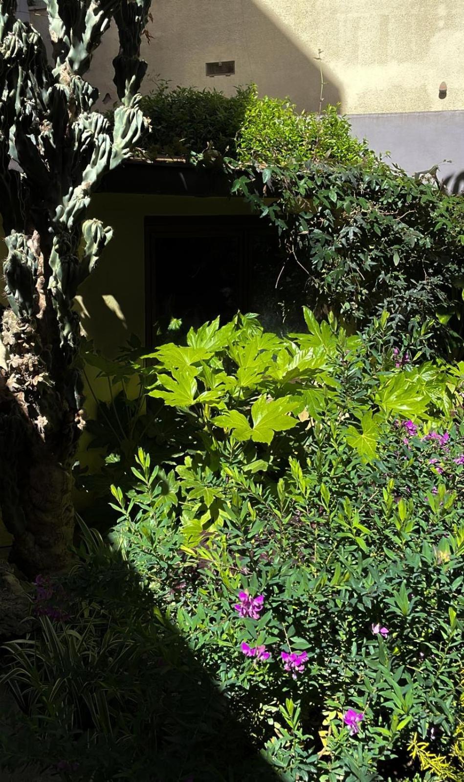 Loquat House Nel Giardino Segreto In Zona Vaticano Roma Exterior foto