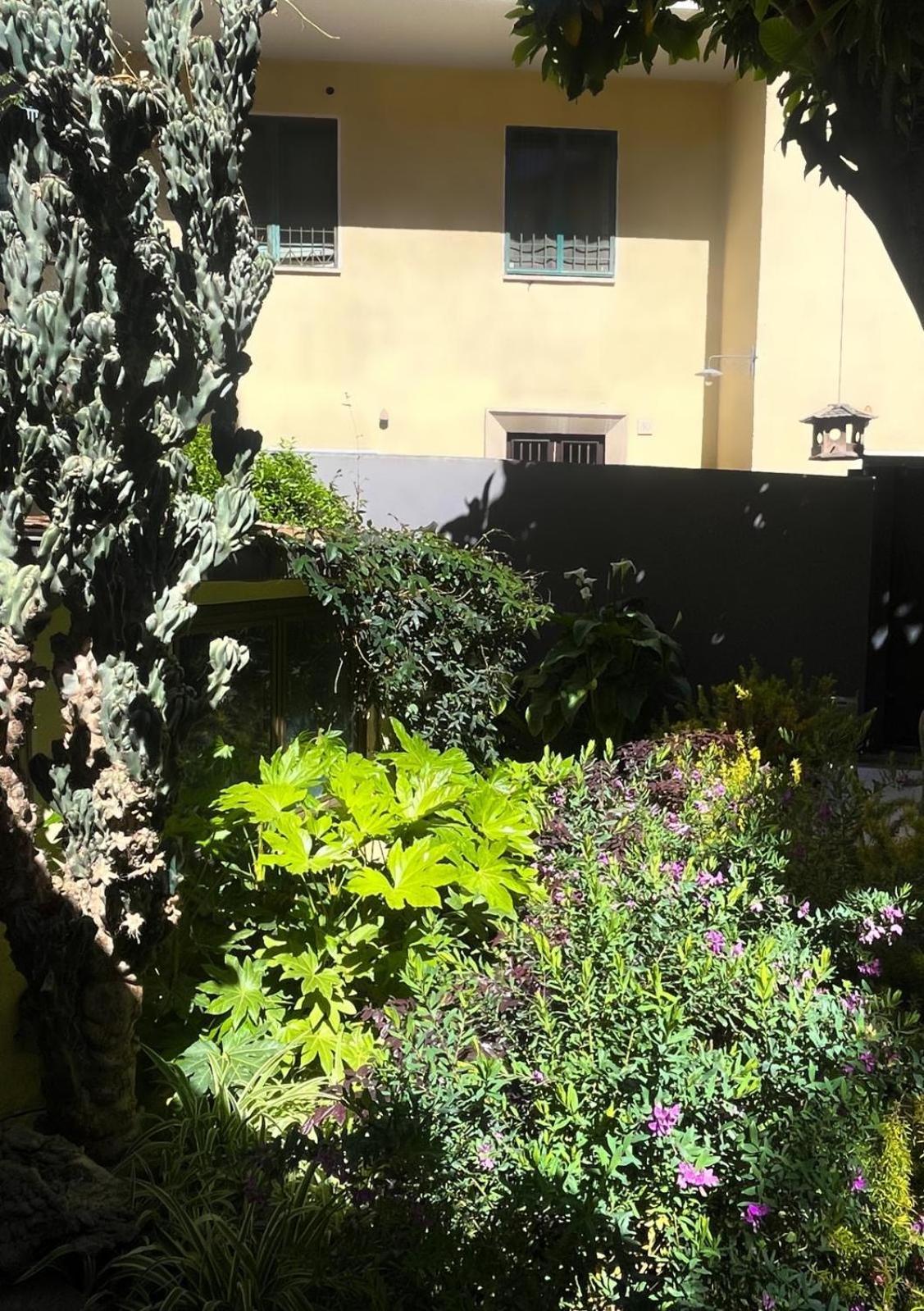Loquat House Nel Giardino Segreto In Zona Vaticano Roma Exterior foto